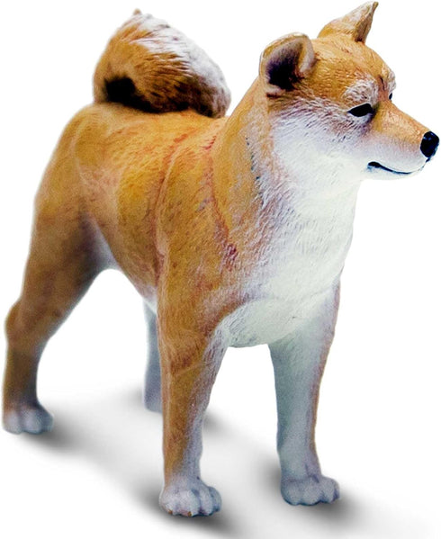 3" 3+ Safari Ltd. Shiba Inu Figurine - Lifelike Plastic Dog Figure - Fun Educational Toy for Boys, Girls & Kids Ages