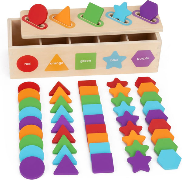 Montessori Toys for 1-3 Year Olds, Wooden Color & Shape Sorting Matching Toys, Educational Gifts for Boys & Girls
