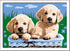 Ravensburger CreArt Cute Puppies Paint by Numbers Kit for Kids, 24 x 18 cm, Canvas & Acrylic Paints