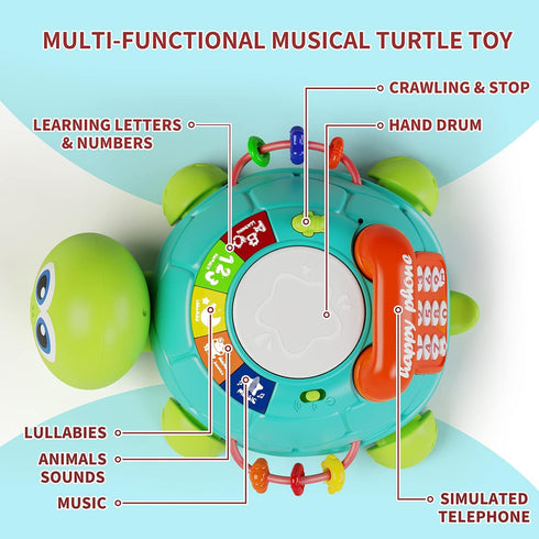 6 12 Tummy 12-18 6 7 8 9 10 1 2 Letapapa Baby Toys to Months, Time Toy for Months, Musical Turtle Crawling Toys