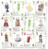 SOLARQUEST Alien Encounters with Dogs Card Game