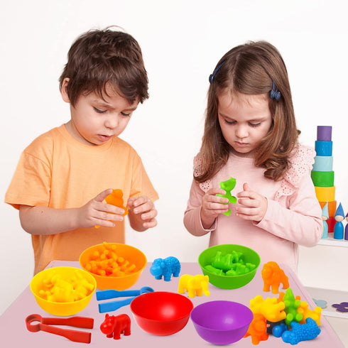 Counting Sorting Toys - RAEQKS Matching Stacking Toys with Bowls for Preschool Learning Activities Educational Sensory
