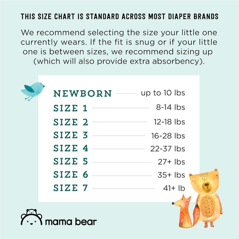 Mama Bear Gentle Touch Diapers, Hypoallergenic, Size 1, 196 Count (4 Packs of 49) - Amazon Brand, White