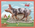 Madd Capp Lil' Pig 100 Piece Jigsaw Puzzle for Ages 5 and Up, Unique Animal-Shaped Border with Fun Facts
