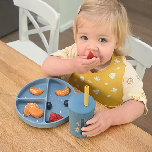 2 Sets Baby Silicone Bibs Baby Bibs with Food Catcher for Girls Boys Toddlers BPA Free Waterproof Soft Durable