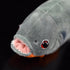 FRANKIEZHOU Simulation Piranha Plush,Fake Piranha Model,Fish Stuffed Animal,Realistic Piranha Plush Toy,Soft Toy,Gifts for Kids,8.5 Inches Long