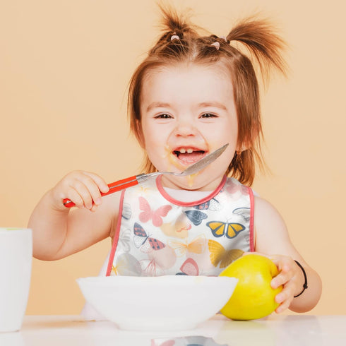 R HORSE 5Pcs Baby Bibs Set, Toddler Bibs with Crumb Catcher Pocket & Snap Button for 6-24 Months