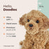 Bearington Dog Stuffed Animal - Realistic Plush Goldendoodle Labradoodle Dog Toy - Caramel 14 Inch