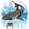 Remote Control Shark Pool Toys for Kids Age 8-12, 2.4GHz Waterproof RC