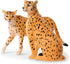 Terra by Battat – 4 Pieces Cheetah Family – 1 – 4-Inch Plastic Figurines for Kids, Educational Toy Figures
