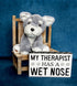 My Baby's Heartbeat Bear Recordable Stuffed Animal, 20 sec Heart Voice Recorder for Ultrasounds, Schnauzer