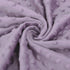 BORITAR Baby Blanket for Girls, Soft Plush Minky Fabric, Double Layer Dotted Backing with Elegant Purple Butterfly (30