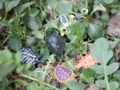Kvvdi 12 Pcs Small Colorful Plastic Poison Dart Frogs Toy + 8 Pcs Turtles Rainforest Animals