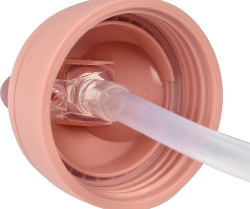 Beaba Straw Sippy Cup - Toddler Baby Straw Cup with Removable Handles, Leak Proof, 10 oz (Rose)