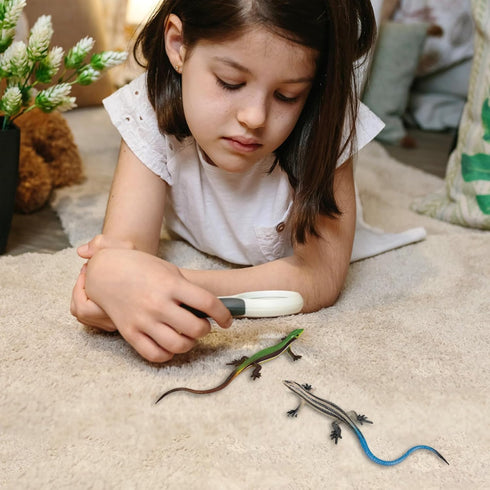 NAKIMO (Set Plastic Lizard Toys Lizard Figurine Realistic Fake Lizards Artificial Model Reptile Toy for Cake Decoration