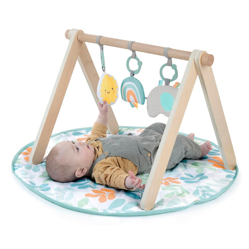 0-36 Ingenuity Sun Valley Wooden Baby Play Mat, Foldable A-Frame Bar, Machine-Washable Mat, Unisex, for Ages Months
