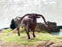 Gemini&Genius Longhorn Cow Toy Action Figure, 6 Inches Length, Hand Painted, Realistic and Durable Farm Animal Toys for