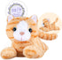 Heatable & Coolable Orange Cat Stuffed Animal, Microwave Heating Pad for Cramps & Pain, Plush Cat Toys Gifts