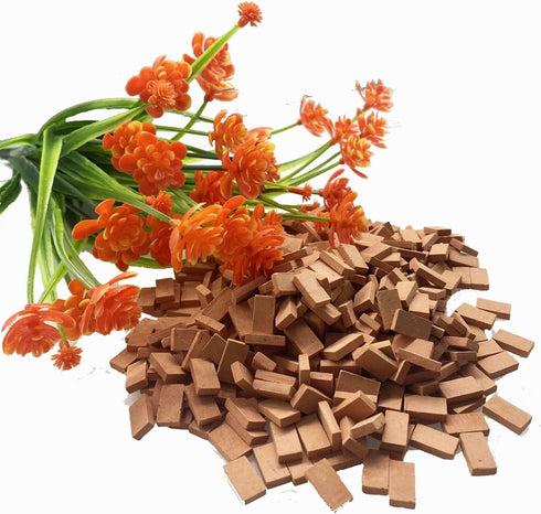 560 Cayway Mini Red Wall Bricks - Pcs, Ideal for Landscaping, Dollhouse Miniature Gardens