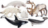 12PCS 4-7" Set Toymany Large Polar Animals Figurines, Plastic Arctic Animal Toy Preschool Includes Polar
