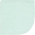 12Pk, Hudson Baby Unisex Baby Flannel Washcloths, Eucalyptus One Size