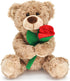 12'' Stuffed Teddy Bear Dolls with Rose, Soft Plush Animal Toys for Valentine's Day Gifts for Her, Girlfriend, Mom