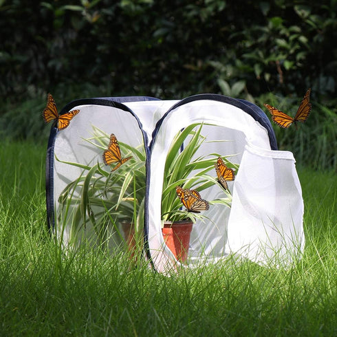 Insect and Butterfly Habitat Cage Terrarium, Pop-up 12 X 12 X 12 Inches