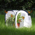 Insect and Butterfly Habitat Cage Terrarium, Pop-up 12 X 12 X 12 Inches