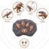 Remote Control T-Rex Dinosaur Toy for Kids