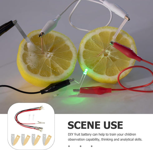 ULTECHNOVO Fruit Battery Science Experiment Kit, 5 Sets Potato Science Educational Kit