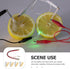 ULTECHNOVO Fruit Battery Science Experiment Kit, 5 Sets Potato Science Educational Kit