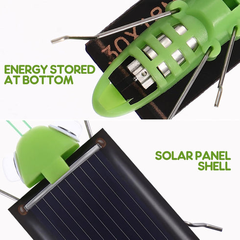Solar Powered Car Toys 2pcs - Robot Insects Simulation Tricky Fake Toy for Kids