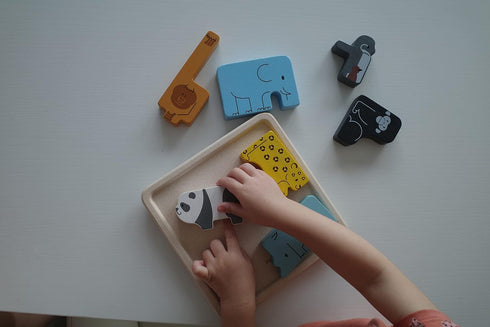 PlanToys Animal Puzzle Game (4644)