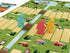 Buffalo Games - Summer Camp - Competitive Family Game Night Deck Building Racing Game - Classic Activities for Ages 10