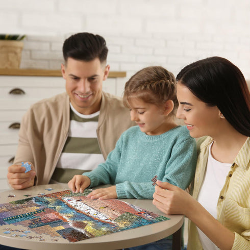500 Piece Jigsaw Puzzle for Adults, Kids and Teens - Central Park in Winter (Central Park)