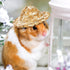 40 Pieces Mini Straw Hats, Tiny Cowboy Hats for Mini Dolls, 2 Inch Straw Hats for Crafts & Decorations
