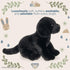 Bearington Collection Lil' Jet - 8 Inch Black Lab Stuffed Animal