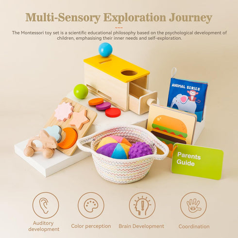 Montessori 6 in 1 Educational Toys Set for Babies 6-12 Months, Wooden Play Kit with Object Permanence Box & More