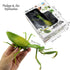 Tipmant RC Praying Mantis Toy, IR Remote Control Animal, Realistic Insect Car for Kids Birthday Gifts