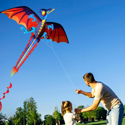 HENGDA KITE Upgrade Classical Dragon Kite, 55"x62" Stereoscopic Easy to Fly for Kids & Adults