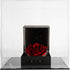 Countertop (10x10x10inch) Clear Acrylic Display Case-Assemble Box for Display-Clear Display Box,Dustproof Protection