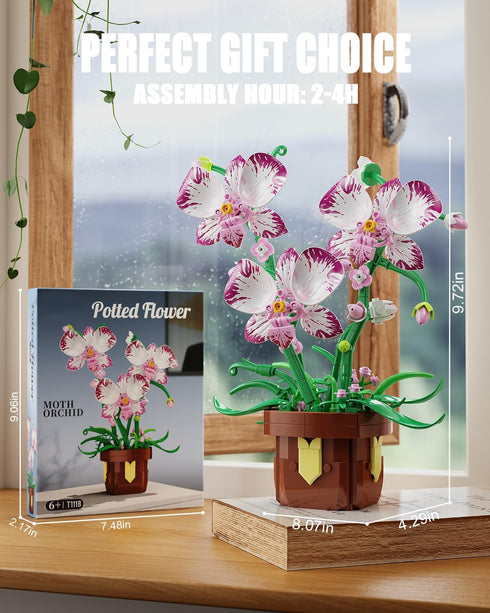 EITOLNR Set 6-12 (323 Flowers Botanicals Orchid Building - Artificial Flower Building Blocks for Adult Women, Bonsai