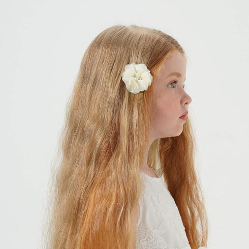 30pcs Baby Girls Alligator Hair Clips, Chiffon Flower Hair Barrettes Accessories for Kids, Toddlers, Teens (01)