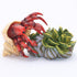 Gemini&Genius Hermit Crab Action Figure Toy, Under The Sea Life Figure Educational Gifts for Kids Animal Lovers