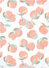 12pk, Hudson Baby Unisex Baby Flannel Burp Cloth Sweet Peach, One Size