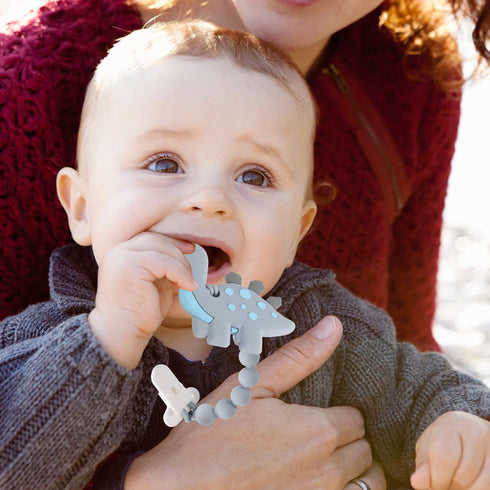 Baby Teething Toys for 3-12 Months, Dinosaur Teether Pain Relief Toy with Pacifier Clip Holder Set, Freezer Safe (Grey)