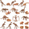 LC JoyCre 23PCS Mini Dinosaur Bones and Dinosaur Fossil Skeleton - Plastic