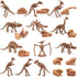 LC JoyCre 23PCS Mini Dinosaur Bones and Dinosaur Fossil Skeleton - Plastic