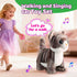 HCdoujoy Set Grey Robotic Cat Toy for Kids Remote Control Walking Kitten for Girls with Leash Electronic Pet That Meow