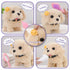 16 3 4 5 6 7 8 5-7 6-8, 3 4 5 6 Vanvimen Pcs Robot Dog Toys for Girls, Toys for Year Old Girls Kids Boys, Realistic